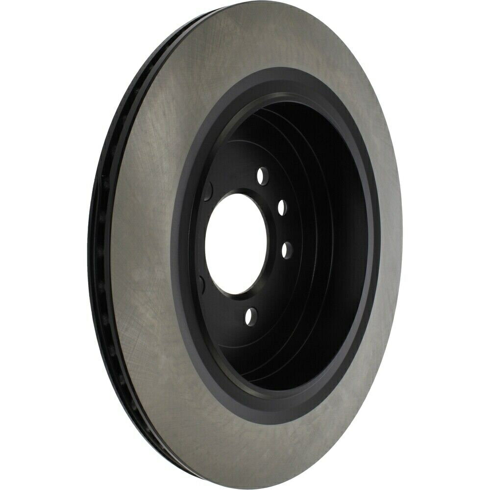 brake disc rotor ディスクブレーキロータープレミアム高カーボン合金リアセントリック125.22010 Disc Brake Rotor-Premium High Carbon Alloy Rear Centric 125.22010