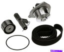 Water Pump ウォーターポンプゲートを備えたエンジンタイミングベルトキットTCKWP255 Engine Timing Belt Kit with Wa...