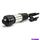 サスペンション AS-3000 ARNOTTショックアブソーバーとストラットアセンブリの助手席右側新しい AS-3000 Arnott Shock Absorb...