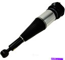 サスペンション サスペンションストラットアセンブリアーノットインダストリーズフロントWDエクスプレス381 30043 547 Suspension Strut...