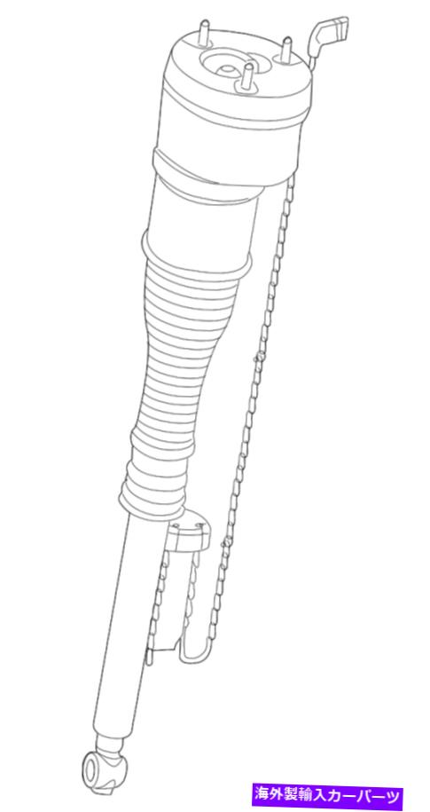 サスペンション メルセデスCLSクラスX218 Genuine Mercedes-Benz Suspension Strut 221-320-56-13-89