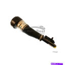 サスペンション Lexus GS 98-05 Maxx New Bilstein TC Suspension Strut Assembly Front 4410...