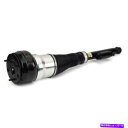 サスペンション AS 3360 ARNOTT INDUSTRIES AIR SUSPUNSE STRUT P/N:AS 3360 As 3360 Arnott ...