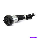 サスペンション AS 3366 ARNOTT INDUSTRIES AIR SUSPUNSE STRUT P/N:AS 3366 As 3366 Arnott ...