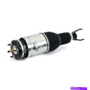 サスペンション AS 3618 Arnott Industries Air Suspension Strut P/N:3618 As 3618 Arnott I...