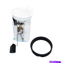 Fuel Pump Module Assembly 燃料ポンプモジュールアセンブリクーパーUSモーターワークUSEP7163M Fuel Pump Module Assembly-Coupe US Motor Works USEP7163M(2)