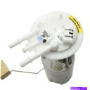 Fuel Pump Module Assembly rivieraのDelphi燃料ポンプモジュールアセンブリ、オーロラFG0040 Delphi Fuel Pump Module Assembly for Riviera, Aurora FG0040