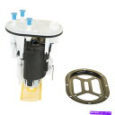 Fuel Pump Module Assembly 燃料ポンプモジュールアセンブリDelphi FG1258 FITS 03-06 Hyundai Santa Fe 2.7L-V6 Fuel Pump Module Assembly Delphi FG1258 fits 03-06 Hyundai Santa Fe 2.7L-V6