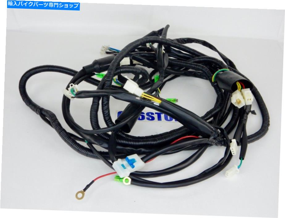 Headlight タオタオゴーカート（タルガ150＆200）ワイヤーハーネスアセンブリ *OEM * TAO TAO GO KART (TARGA 150 & 200) WIRE HARNESS ASSEMBLY *OEM*