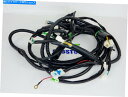 Headlight タオタオゴーカート(タルガ150&200)ワイヤーハーネスアセンブリ *OEM * TAO TAO GO KART (TARGA 150 &...