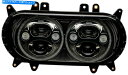 Headlight カスタムダイナミクス5.75