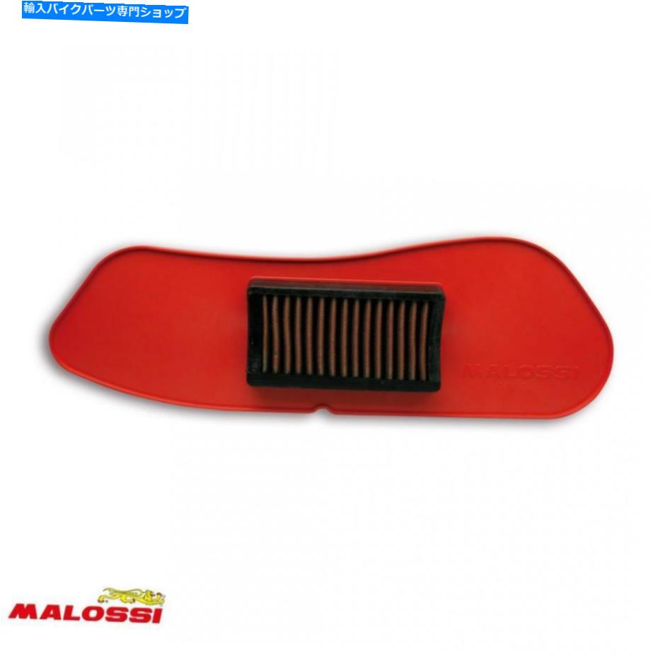 Air Filter スクーターのエアフィルターマロッシヤマハ125 YP X-Max ABS 2011から2019）新しい Air Filter Malossi for Scooter Yamaha 125 YP X-max ABS 2011 To 2019) New