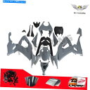 Us Custom Parts Shop USDM㤨Fairings ntu nardo gray absʮͥեǦ2008-2010 zx10r i058ŬƤޤ NTU Nardo Gray ABS Injection Fairing Fit for Kawasaki Ninja 2008-2010 ZX10R i058פβǤʤ220,110ߤˤʤޤ