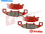 Brake Pads ֥SAեեȥåȥɥ֥졼ѥåɤGPX750 R 1987-1989Ŭ礷ޤ Brembo SA Full Front Set Road Brake Pads fits Kawasaki GPX750 R 1987-1989