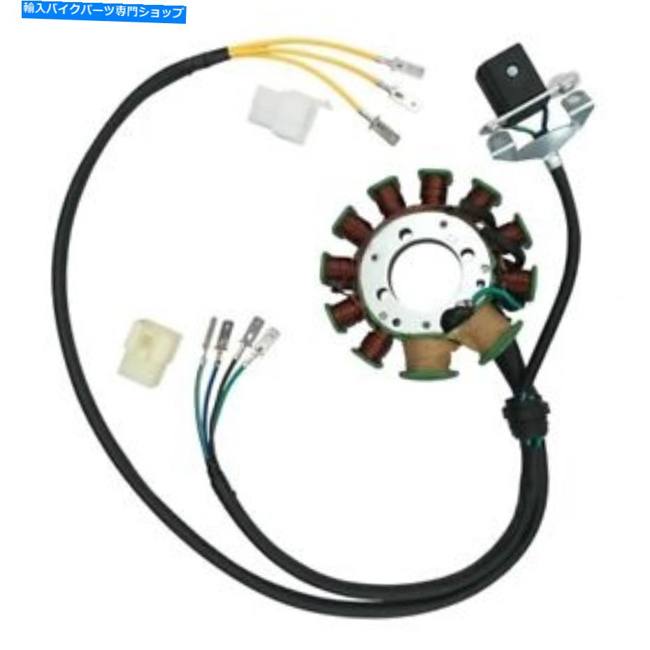 Magnetos 11コイルMagnetoステーターコイルキットLifan 200cc 250ccバイクピットダートアポロ 11 Coils Magneto Stator Coil Kit For Lifan 200cc 250cc Bike Pit Dirt Apollo