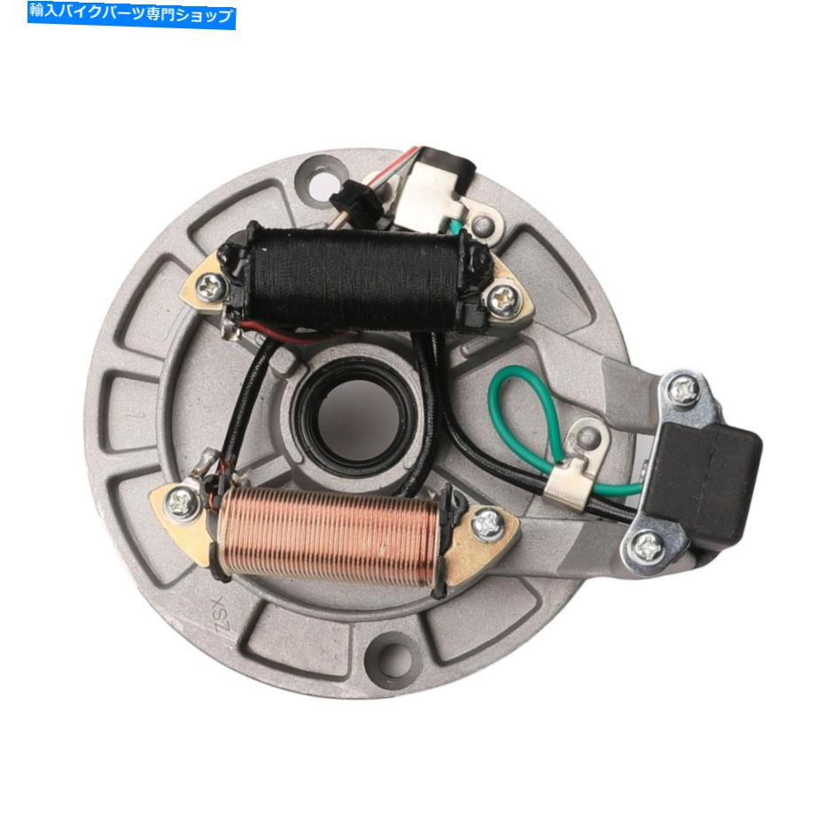 Magnetos 50cc 70 125ccダートピットバイクワイヤーハーネスCDIステーターコイルマグネトークールスターリフェン 50cc 70 125cc Dirt Pit Bike Wire Harness CDI Stator Coil Magneto Coolster Lifan