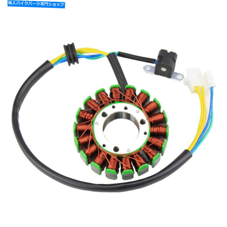 Magnetos YP250 ATV 250-300ccの交換18ステーターマグネット Replacement 18 Stator Magneto For YP250 ATV 250-300cc