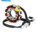 Magnetos ヤマハのステーターマグネトXT125R XT125X 2005-2006ジェネレーターコイル3D6-H1410-00 SA STATOR MAGNETO FOR YAMAHA XT125R XT125X 2005-2006 GENERATOR COIL 3D6-H1410-00 SA