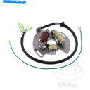 Alternators ヤマハYFS 200ブラスター2006オルタネーターステーター Yamaha YFS 200 Blaster 2006 Alternator Stator