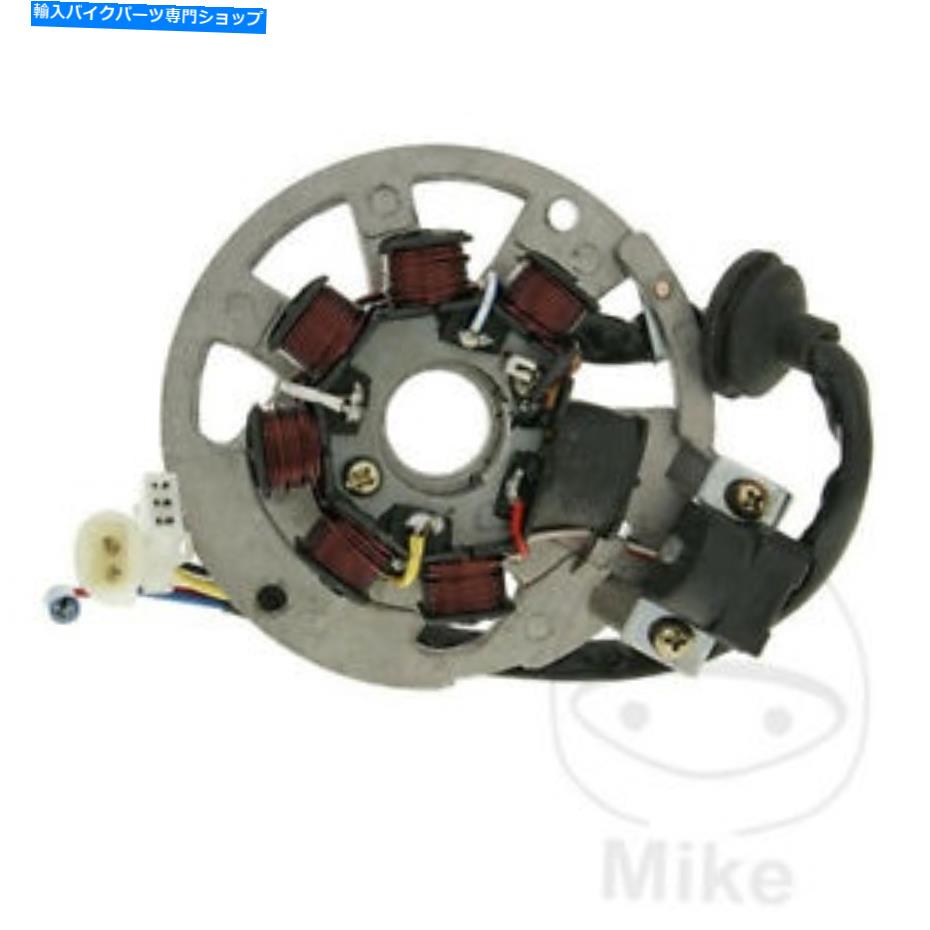 Alternators Tauris Mambo 50 2T 2008-2009륿͡ơ38 Tauris Mambo 50 2T 2008 - 2009 Alternator Stator 38