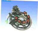 Alternators Malaguti F12 50 AC DD PHANTOM 2007-2008のステーターキーウェイ/CPI/ジェネリック Stator Keeway/Cpi/Generic For Malaguti F12 50 AC DD Phantom 2007 - 2008