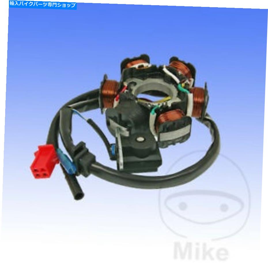 Alternators QINGQI QM125T-10A 125 2007オルタネーターステーター70 Qingqi QM125T-10A 125 2007 Alternator Stator 70 1