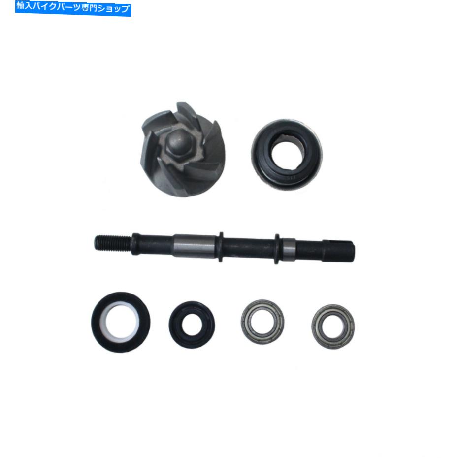 Water Pump ウォーターポンプアセンブリCF250 250ccウォーター冷却ATVクアッドバイクゴーカートスクー..
