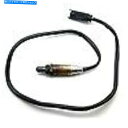 Switches 酸素センサーBMW R1100S、R1150、R1200、K1200; 11 78 1 341 022 / O2-022 Oxygen Sensor BMW R1100S, R1150, R1200 & K1200; 11 78 1 341 022 / O2-022