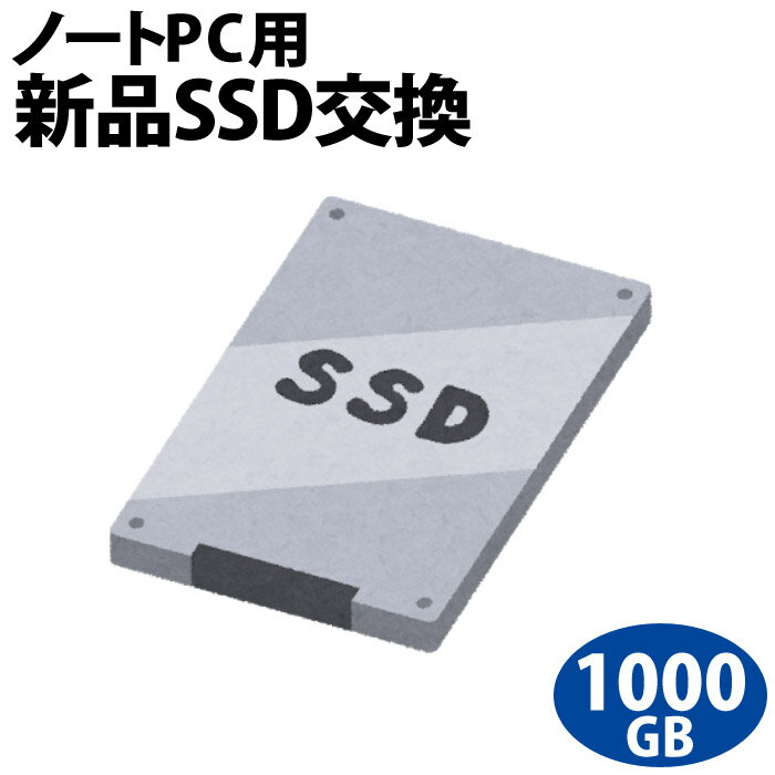 ڼ嵭֡SSDش!!ۥΡȥѥSSDʸ򴹥ӥ1000GB/PCΤ򤴹ɲäǤ륪ץǤ