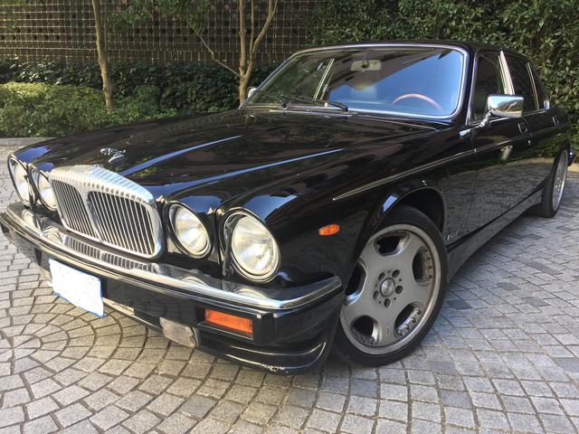 ǥ顼 ǥ顼 ֥륷å [] ݾڴ֤ 1 AT