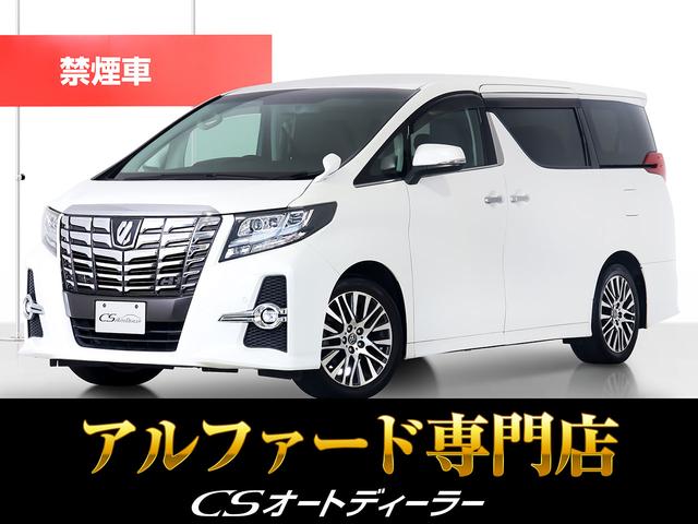 ȥ西 ե 25S Cѥå [] ر ݾڴ֤ 6 AT