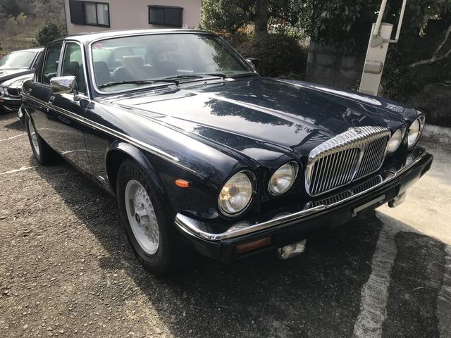 ǥ顼 ǥ顼 ֥륷å [] ݾڴ֤ 1 AT