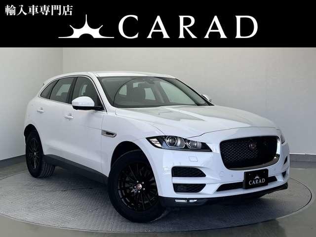 㥬 Fڡ ץ쥹ơ [] ر ݾڴ֤ 3 AT