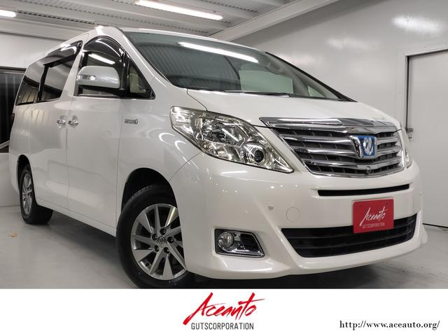 ȥ西 եɡϥ֥å X [] ر ݾڴ֤ 24 AT