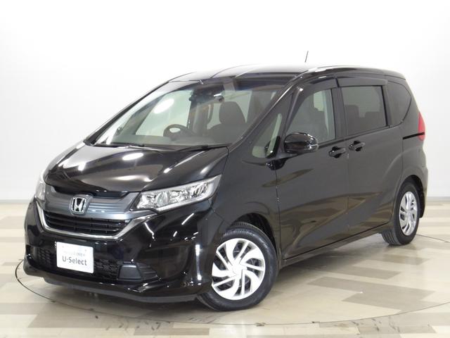 ۥ ե꡼ Gۥ󥷥 [] ر ݾڴ֤ 12 AT