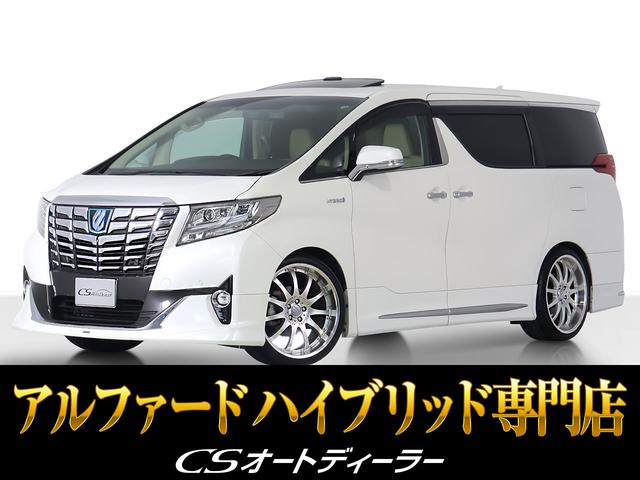 ȥ西 եɡϥ֥å ƥ֥饦 [] ر ݾڴ֤ 6 AT