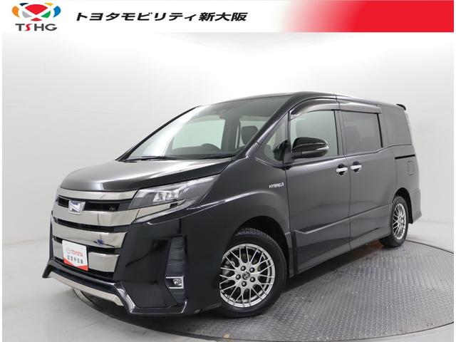 ȥ西 Υϥ֥å ϥ֥åSi ֥Хӡ [] ݾڴ֤ 12 AT