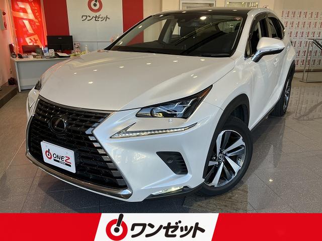 �쥯���� NX300 NX300 I�ѥå����� [���] �ر�� �ݾڴ��֤��� 3���� AT