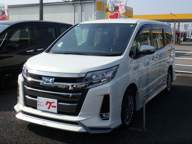 ȥ西 Υϥ֥å ϥ֥åSi ֥Хӡ [] ݾڴ֤ 1 AT