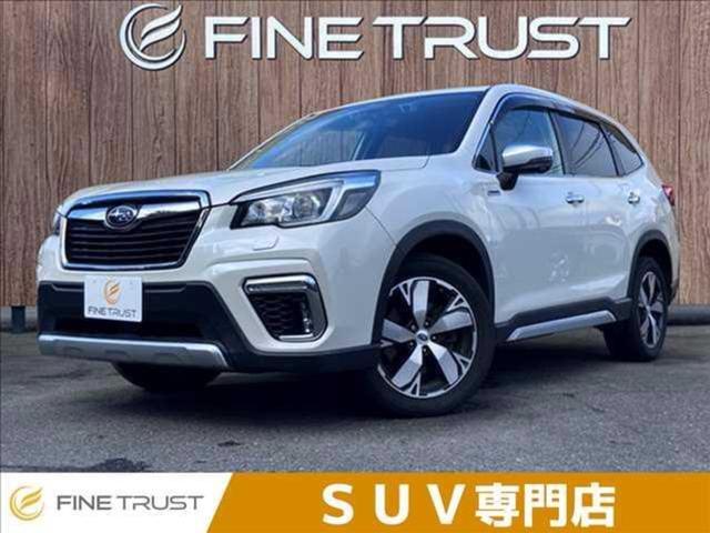 Х ե쥹ϥ֥å ɥХ [] ر ݾڴ֤ 6 AT