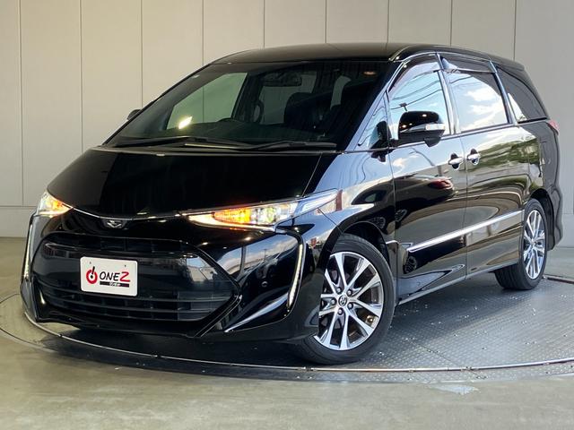 ȥ西 ƥ 饹 ץߥ [] ر ݾڴ֤ 3 AT