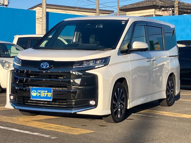 ȥ西 Υϥ֥å ϥ֥åSZ [] ر ݾڴ֤ 12 AT