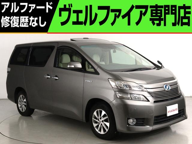 ȥ西 եϥ֥å V ץߥॷȥǥ [] ر ݾڴ֤ 12 AT