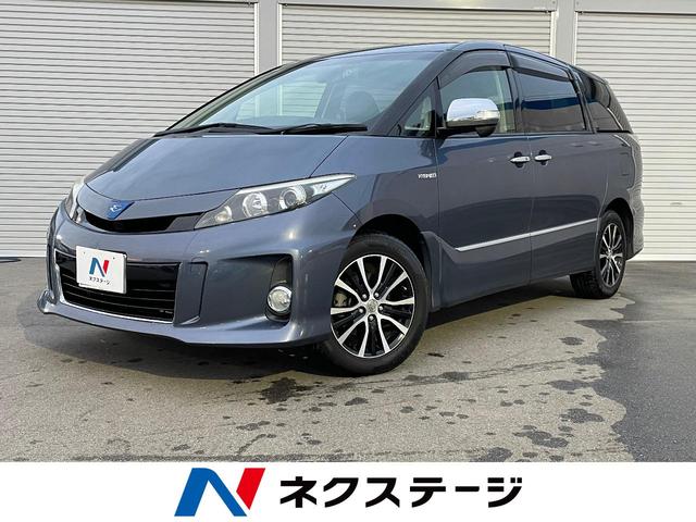 ȥ西 ƥޡϥ֥å 饹 ץߥ२ǥ [] ر ݾڴ֤ 3 AT