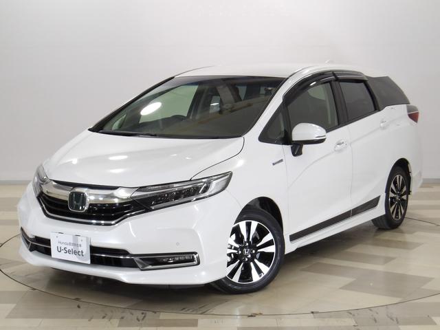 ۥ ȥ롡ϥ֥å ϥ֥åX ۥ󥷥 [] ر ݾڴ֤ 12 AT