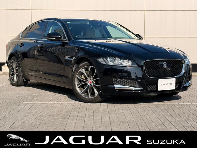 㥬 XF꡼ ԥ奢 [] ر ݾڴ֤ 24 AT