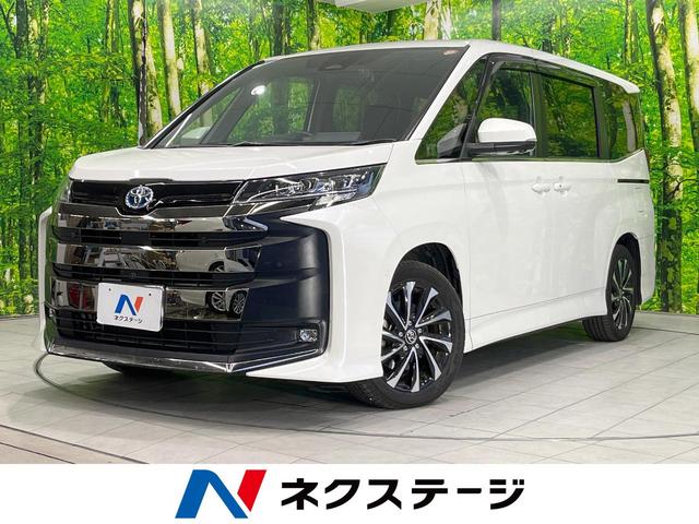 ȥ西 Υϥ֥å ϥ֥åSZ [] ر ݾڴ֤ 3 AT