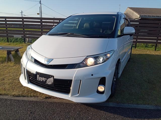 ȥ西 ƥ 饹 ץߥ२ǥ [] ݾڴ֤ 12 AT