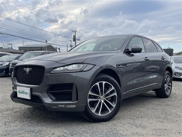 㥬 Fڡ Rݥݡ [] ݾڴ֤ 1 AT