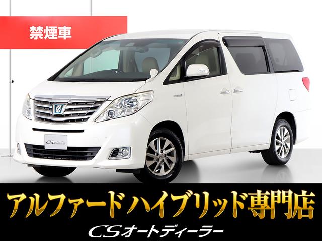 ȥ西 եɡϥ֥å G [] ر ݾڴ֤ 6 AT